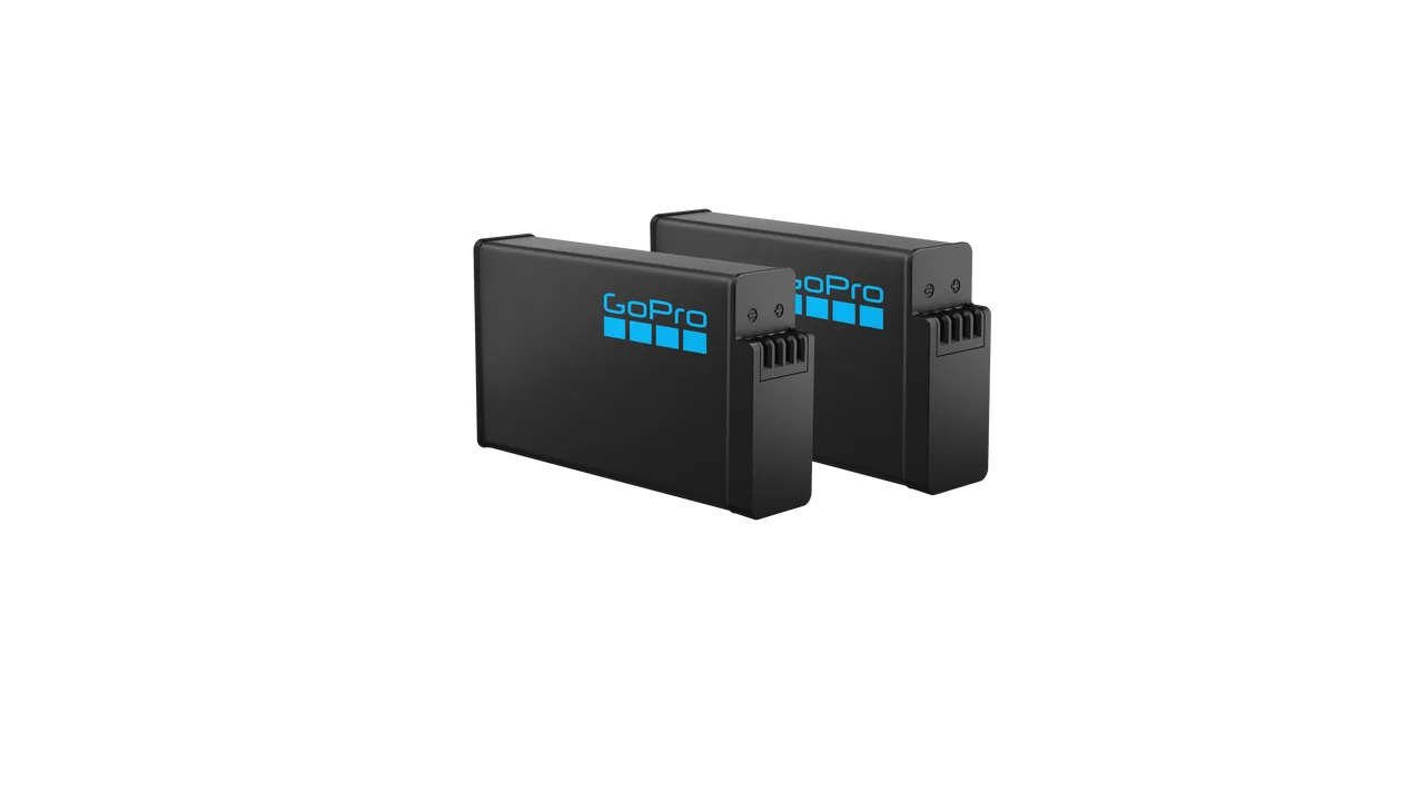 Dual Battery Charger (MAX2) - 2 Enduro Batteries Included
