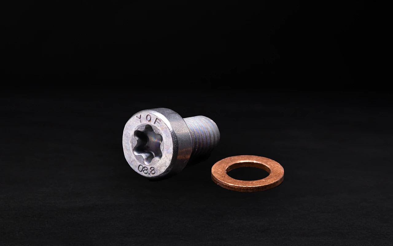 Gear oil level bolt