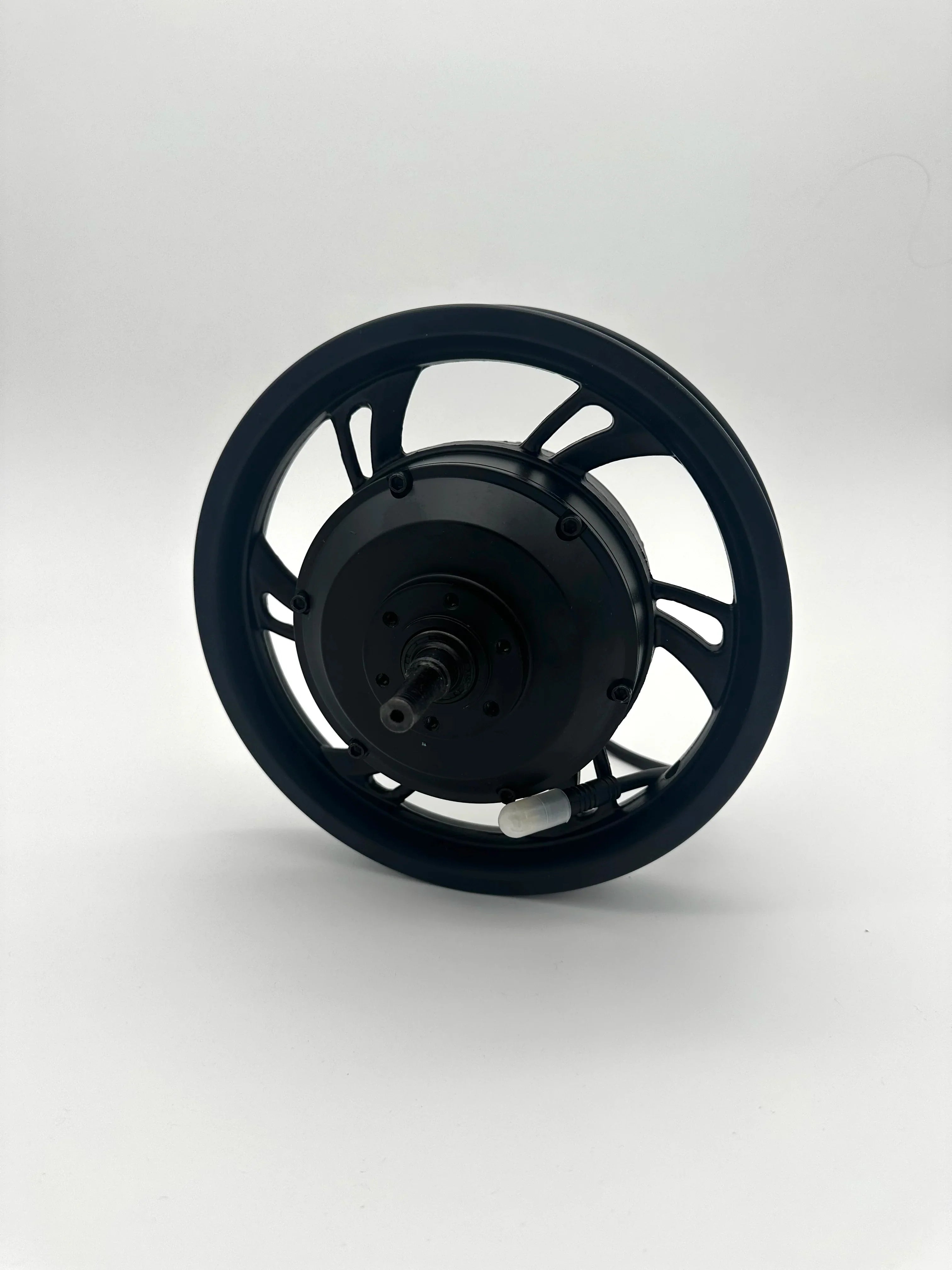 Rear Wheel Hub and Motor 250w Duo 12” Launch