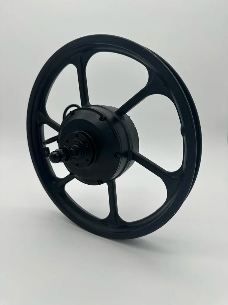 Rear Wheel Hub and Motor 350w Duo 16” Master