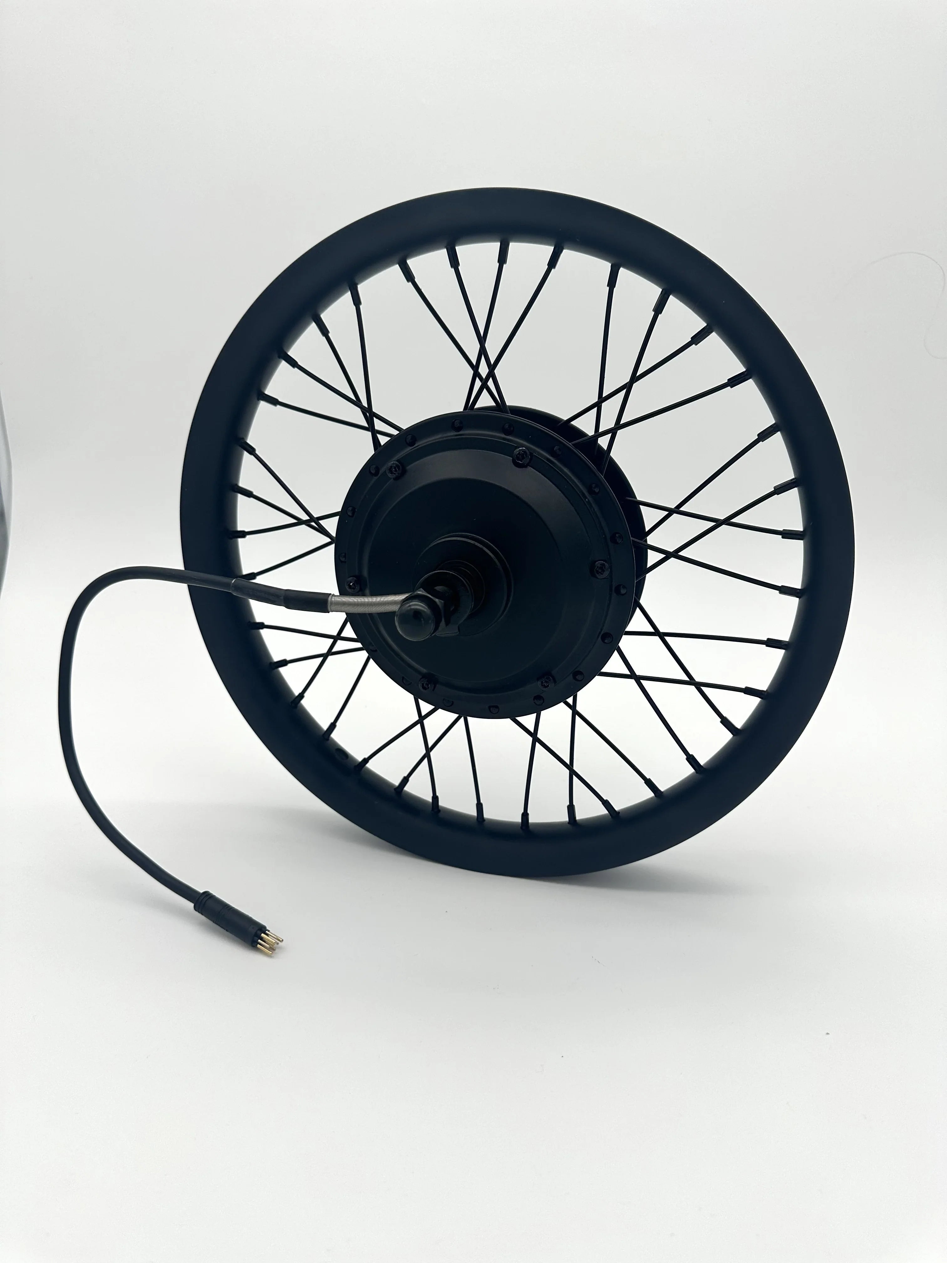 Rear Wheel Hub and Motor 350w Duo 16” Master Pro