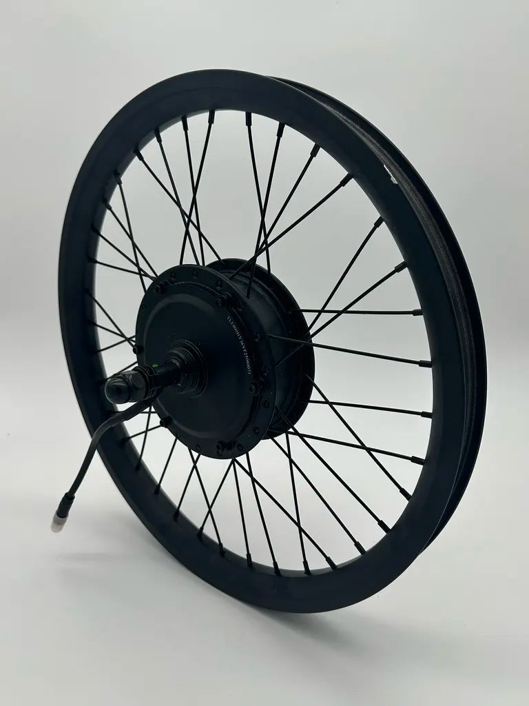 Complete Rear Wheel + Motor 1200w Duo 20” Blitz