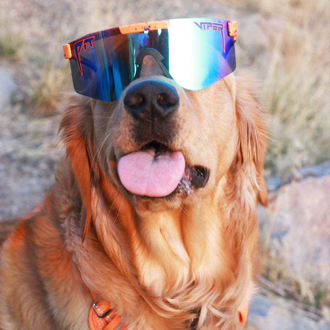 The Crush Polarized Double Wide