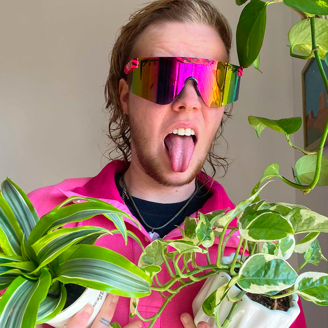 The Hot Tropics Polarized 2000s