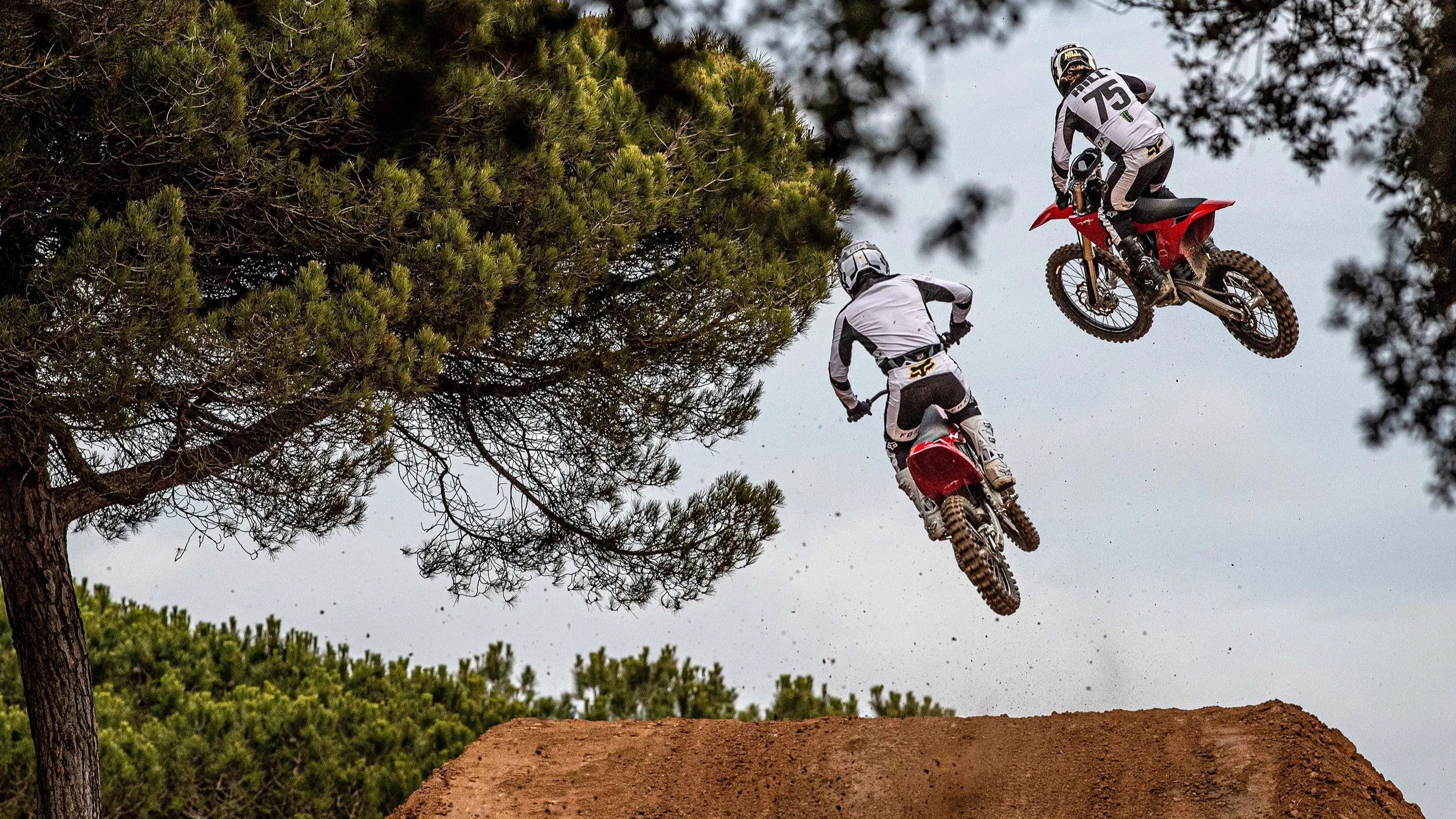 Buying a Stark Varg in 2025: Why Electric is Finally Winning the Motocross Revolution