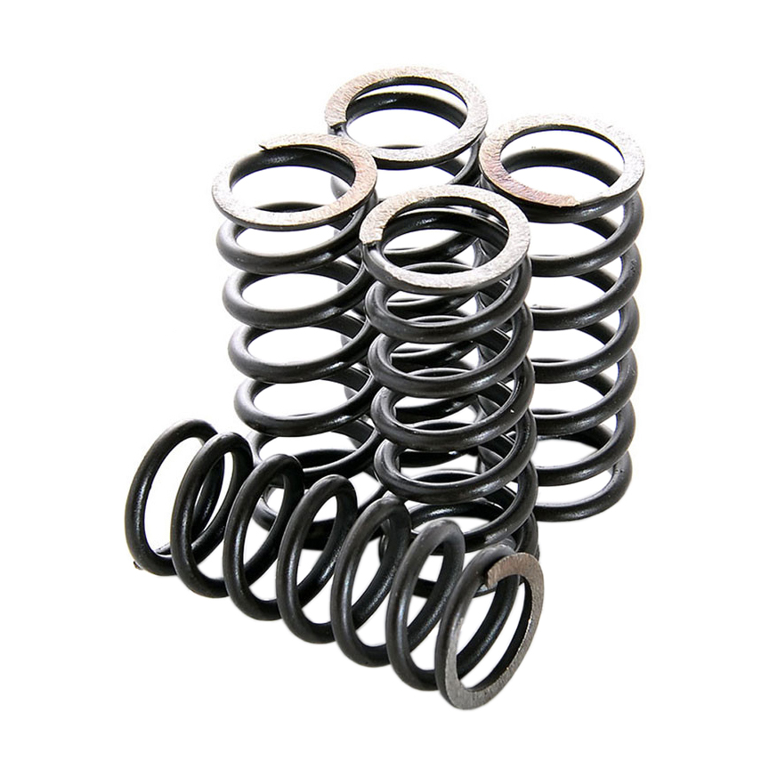 Clutch Spring Kit HDS32-6