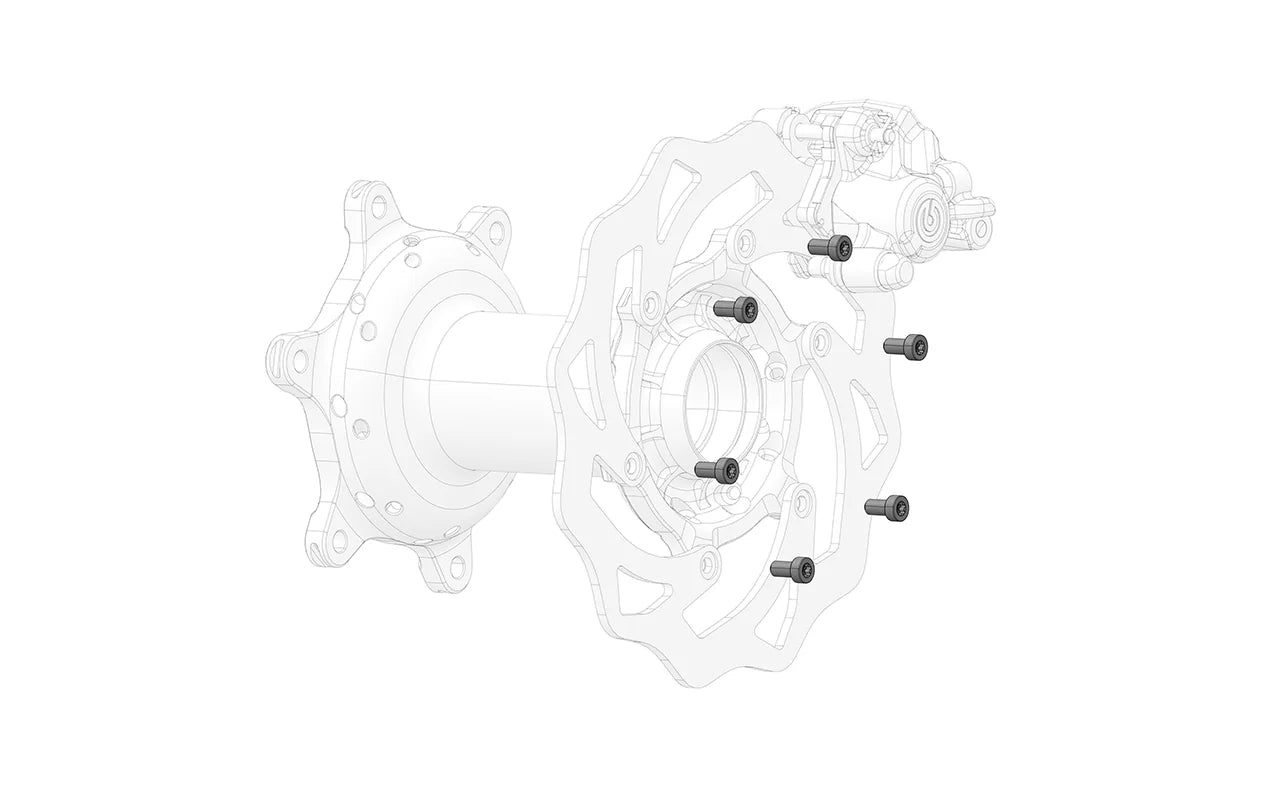Rear brake disc screw (1 unit)