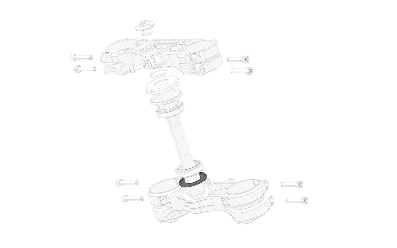 Steering head bearing lower seal