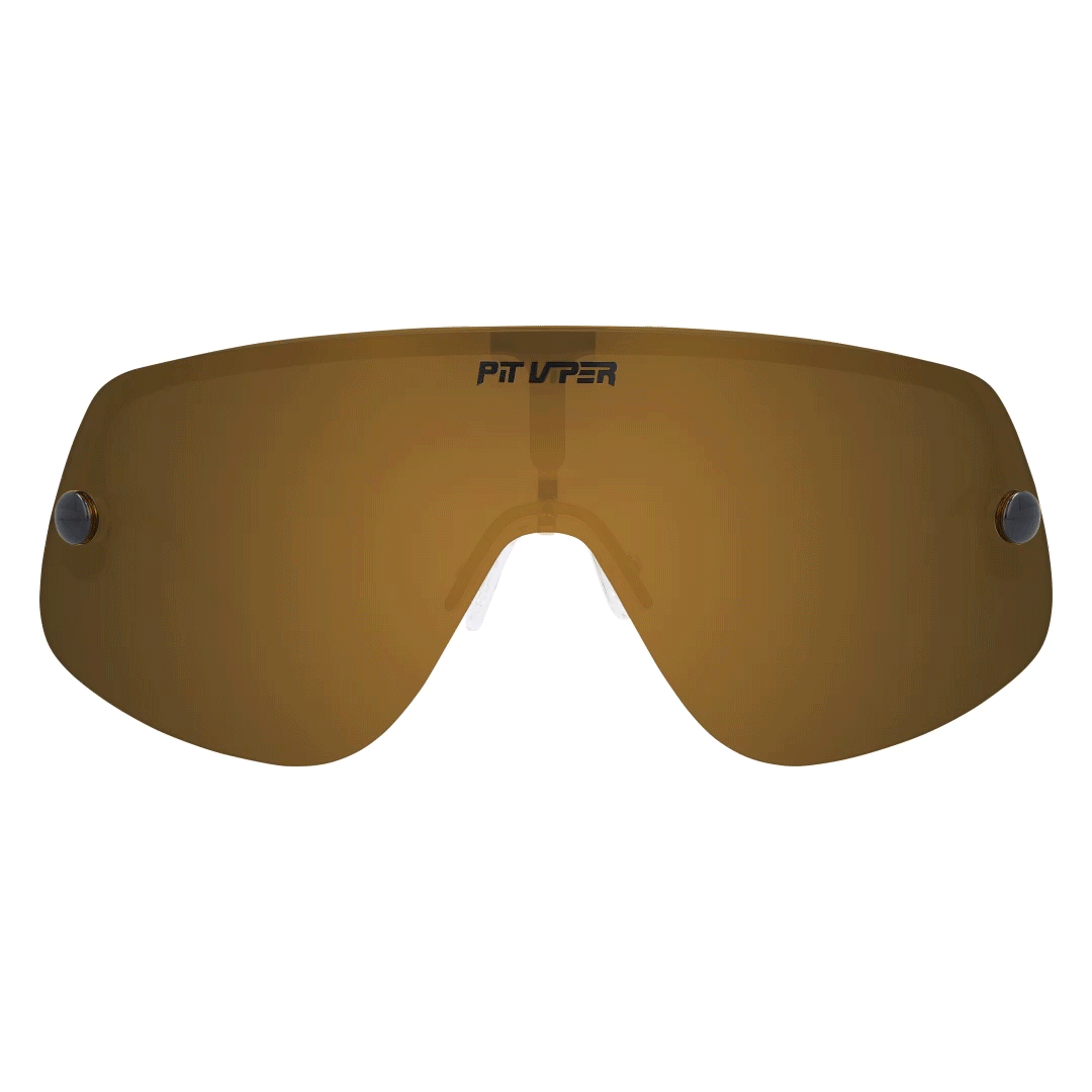 The Gold Standard Polarized Limousine