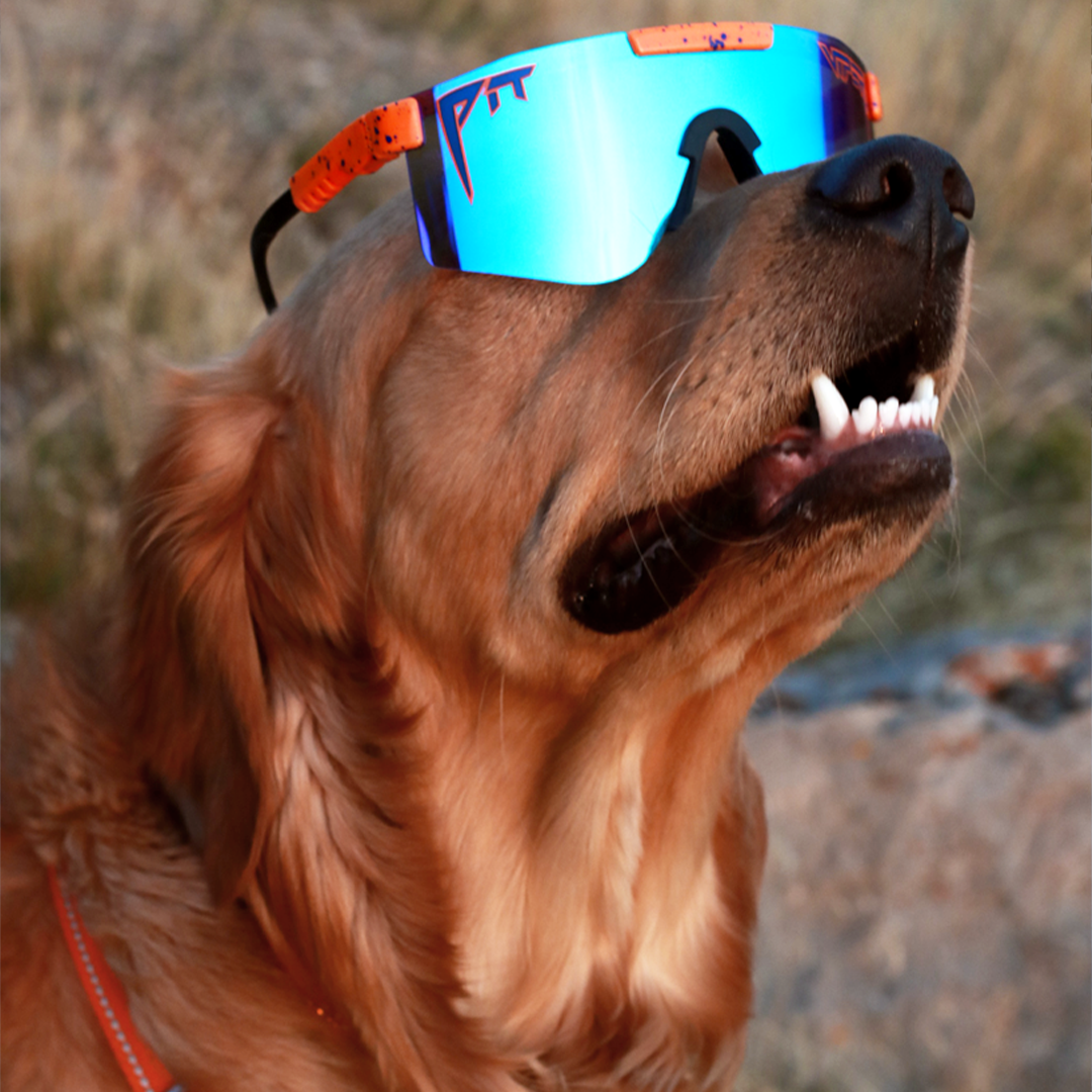 The Crush Polarized Double Wide