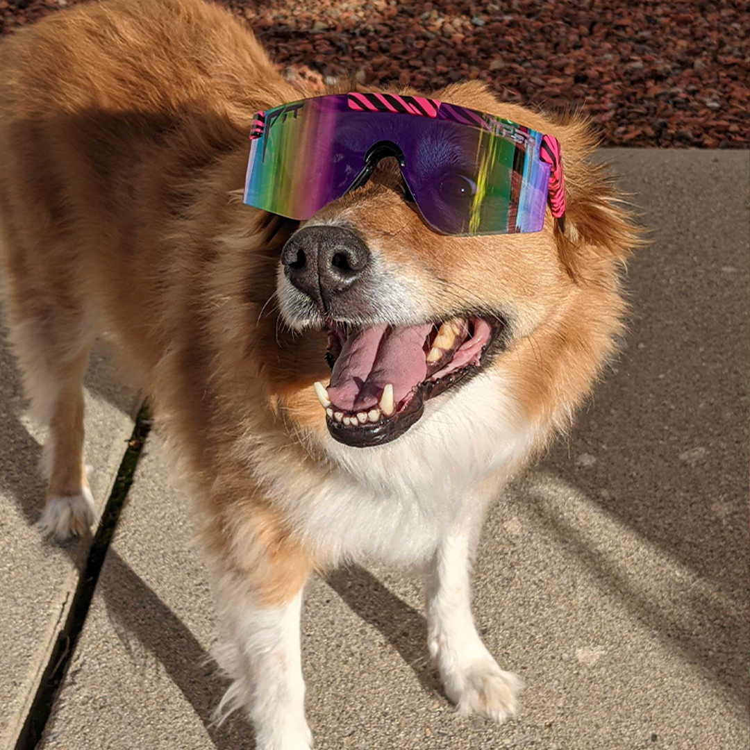 The Hot Tropics Photochromic 2000s