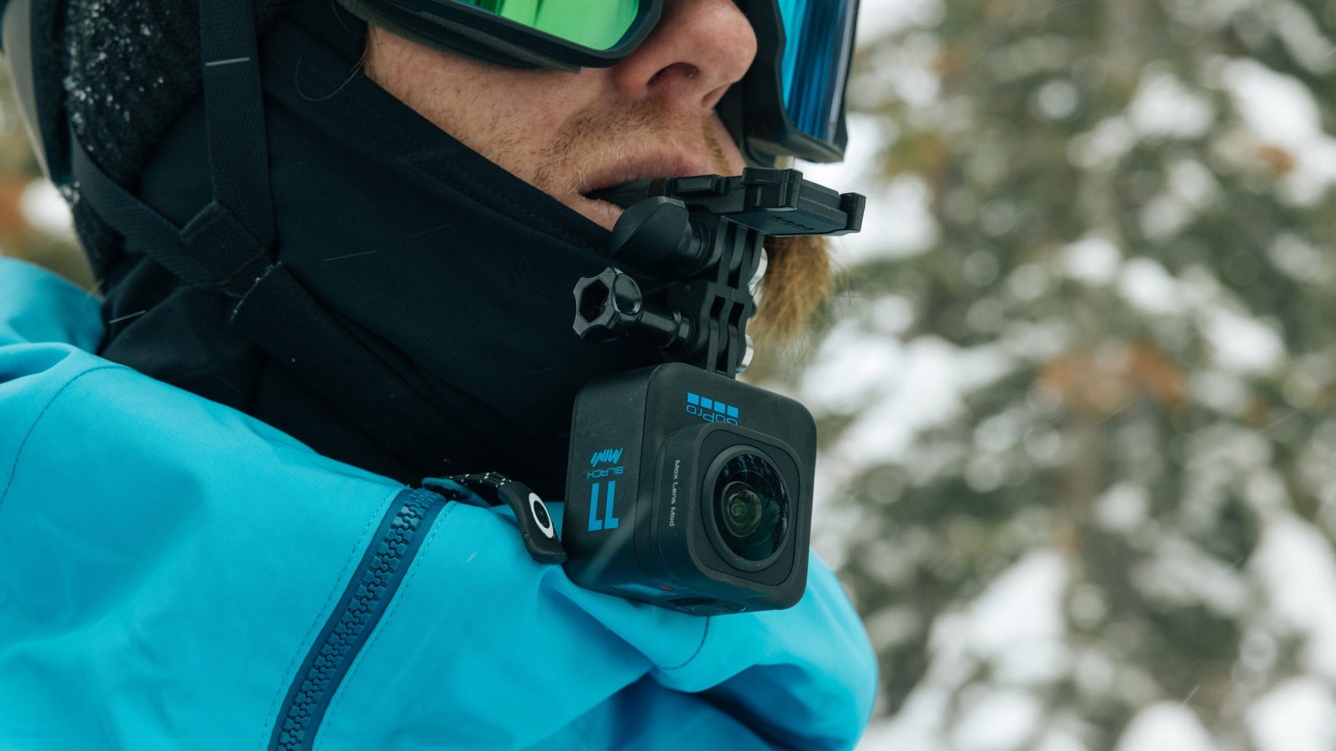 Bite Mount