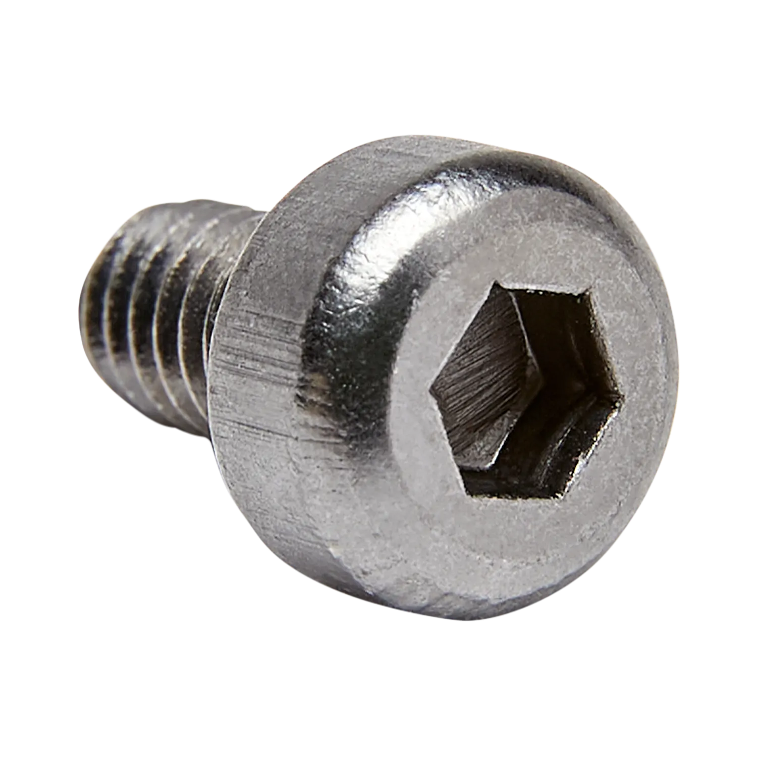 UNIVERSAL BUCKLE SCREW - NO COLOR